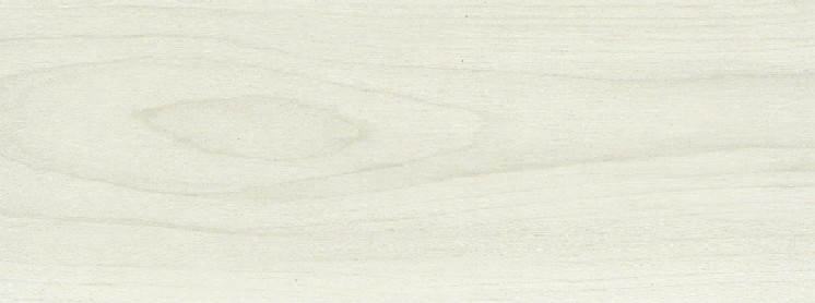 赛高亲体塑胶木纹地板-W6101